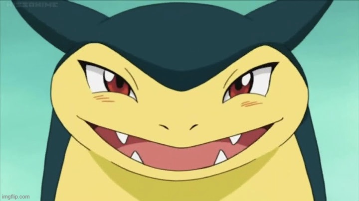 Typhlosion | image tagged in typhlosion | made w/ Imgflip meme maker