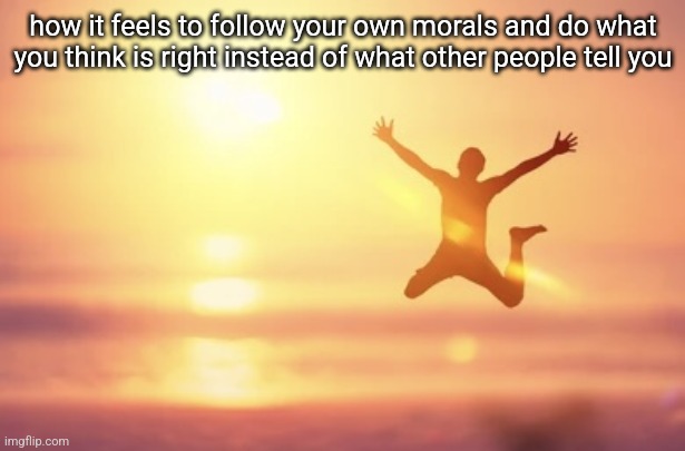 guy jumping | how it feels to follow your own morals and do what you think is right instead of what other people tell you | image tagged in guy jumping | made w/ Imgflip meme maker