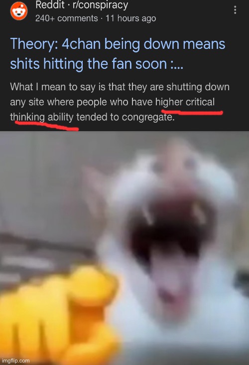 “Higher critical thinking ability”☠️ | image tagged in cat pointing and laughing | made w/ Imgflip meme maker