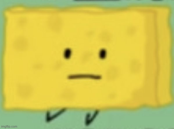 spogbob | image tagged in spogbob | made w/ Imgflip meme maker