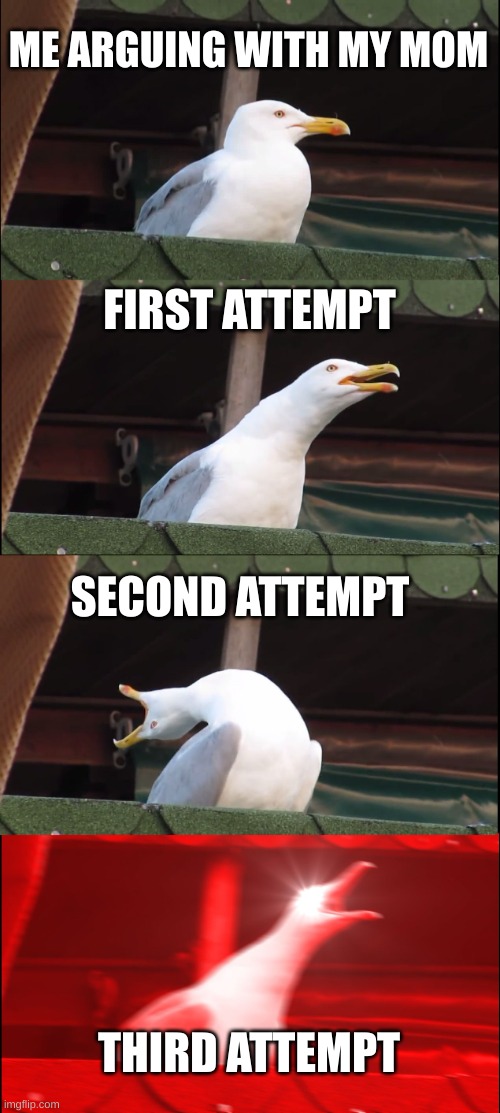 Arguing is hard | ME ARGUING WITH MY MOM; FIRST ATTEMPT; SECOND ATTEMPT; THIRD ATTEMPT | image tagged in memes,inhaling seagull | made w/ Imgflip meme maker