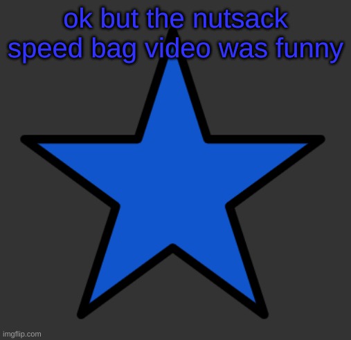 ZetaStar | ok but the nutsack speed bag video was funny | image tagged in zetastar | made w/ Imgflip meme maker