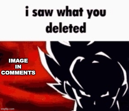 i saw what you deleted | IMAGE IN COMMENTS | image tagged in i saw what you deleted | made w/ Imgflip meme maker