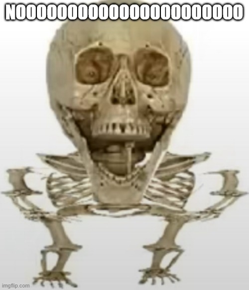 Mokey skeleton | NOOOOOOOOOOOOOOOOOOOOOO | image tagged in mokey skeleton | made w/ Imgflip meme maker
