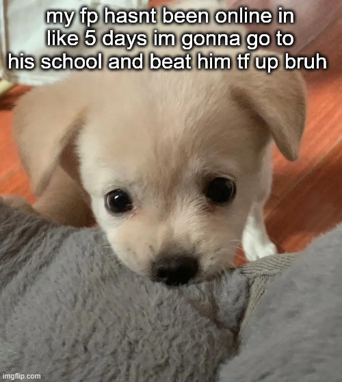hi | my fp hasnt been online in like 5 days im gonna go to his school and beat him tf up bruh | image tagged in hi | made w/ Imgflip meme maker