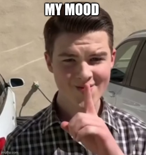 My spirit animal | MY MOOD | image tagged in young sheldon mewing | made w/ Imgflip meme maker