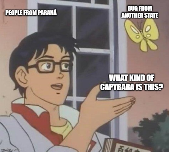 Is This A Pigeon | BUG FROM ANOTHER STATE; PEOPLE FROM PARANÁ; WHAT KIND OF CAPYBARA IS THIS? | image tagged in memes,is this a pigeon | made w/ Imgflip meme maker