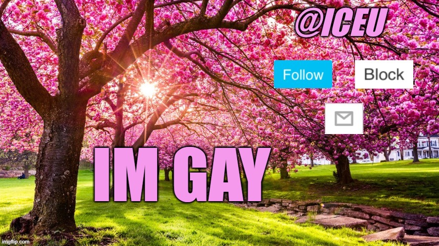 Iceu Spring Template | IM GAY | image tagged in iceu spring template | made w/ Imgflip meme maker