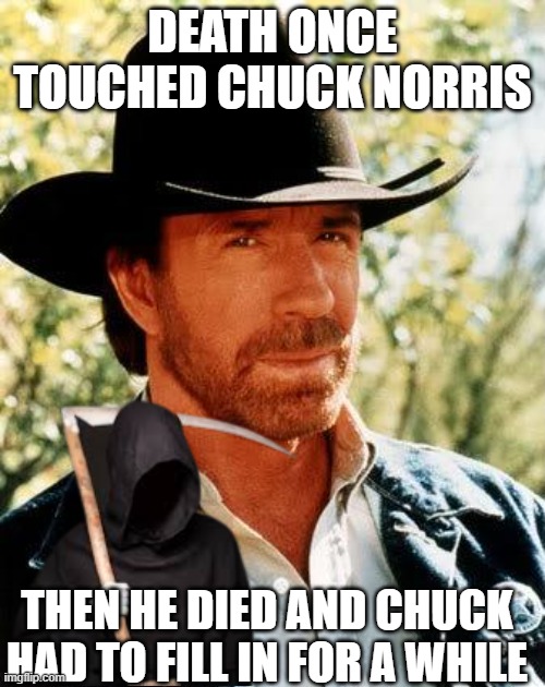 Death Has No Norris | DEATH ONCE TOUCHED CHUCK NORRIS; THEN HE DIED AND CHUCK HAD TO FILL IN FOR A WHILE | image tagged in memes,chuck norris | made w/ Imgflip meme maker