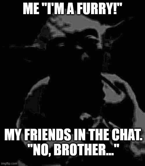 Star Wars Yoda | ME "I'M A FURRY!"; MY FRIENDS IN THE CHAT.
"NO, BROTHER..." | image tagged in memes,star wars yoda | made w/ Imgflip meme maker