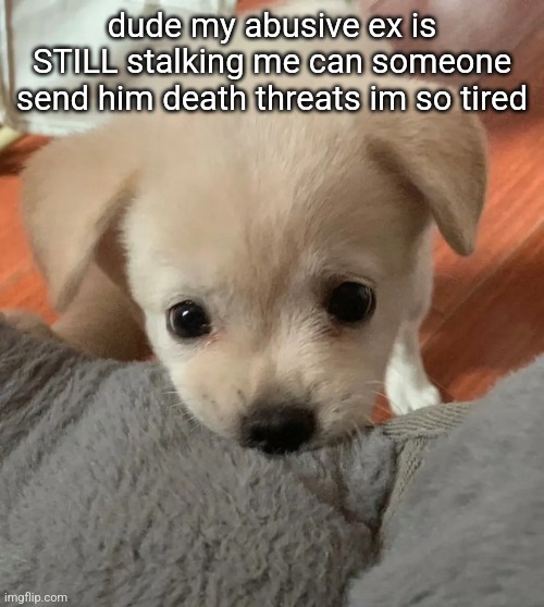 hi | dude my abusive ex is STILL stalking me can someone send him death threats im so tired | image tagged in hi | made w/ Imgflip meme maker