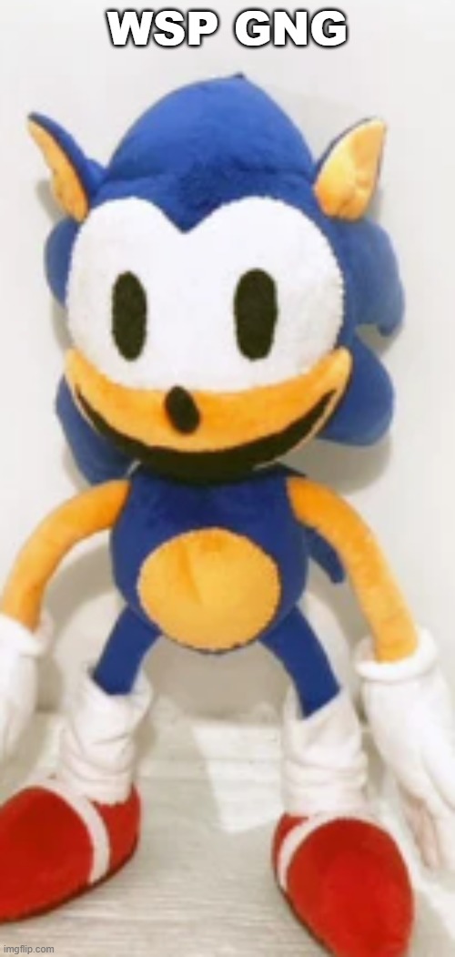 face reveal | WSP GNG | image tagged in rewritesonic plush | made w/ Imgflip meme maker