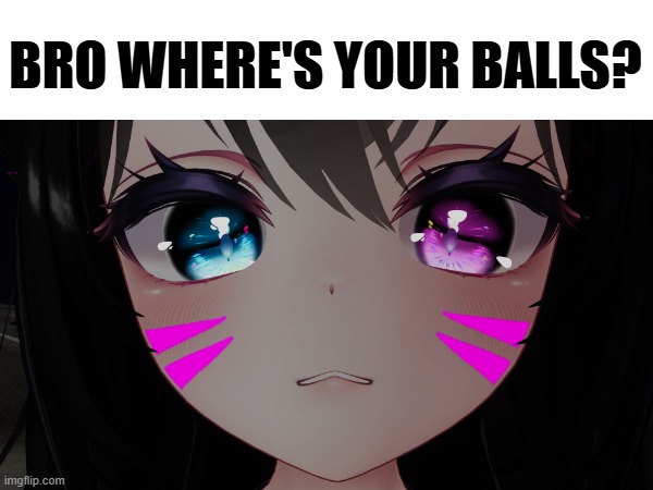 Huh? | BRO WHERE'S YOUR BALLS? | image tagged in vrchat,funny,balls | made w/ Imgflip meme maker