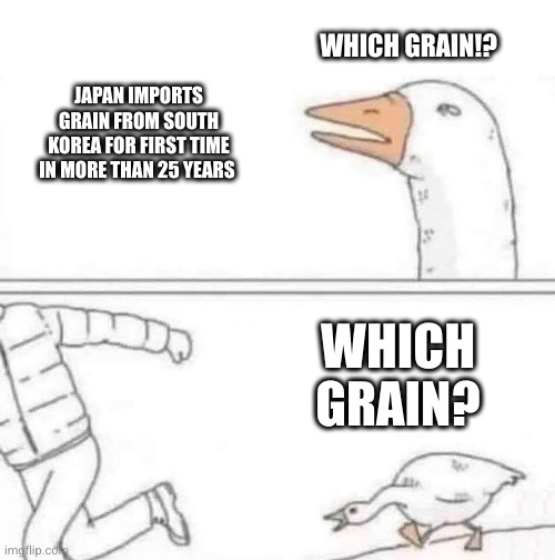 Goose Chase | WHICH GRAIN!? JAPAN IMPORTS GRAIN FROM SOUTH KOREA FOR FIRST TIME IN MORE THAN 25 YEARS; WHICH GRAIN? | image tagged in goose chase | made w/ Imgflip meme maker