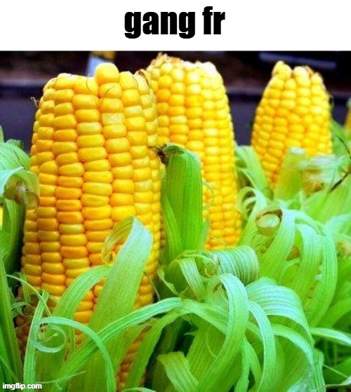 This corny gang | image tagged in this corny gang | made w/ Imgflip meme maker