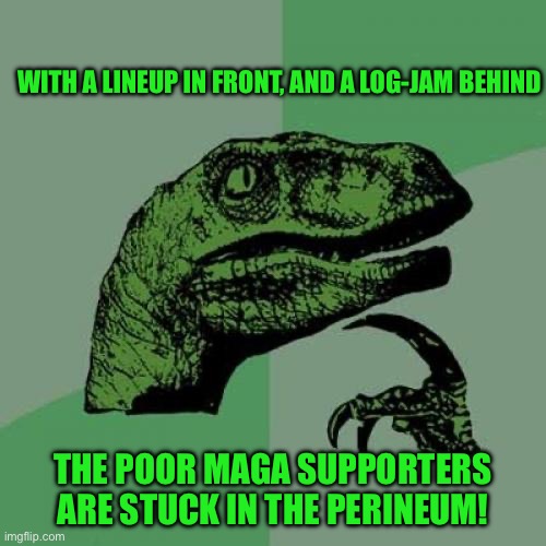 Philosoraptor | WITH A LINEUP IN FRONT, AND A LOG-JAM BEHIND; THE POOR MAGA SUPPORTERS ARE STUCK IN THE PERINEUM! | image tagged in memes,philosoraptor | made w/ Imgflip meme maker