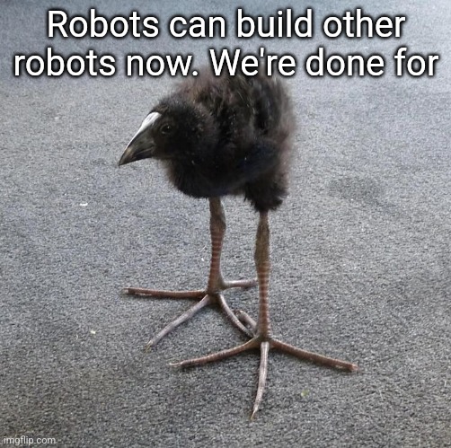 Pukeko chick | Robots can build other robots now. We're done for | image tagged in pukeko chick | made w/ Imgflip meme maker