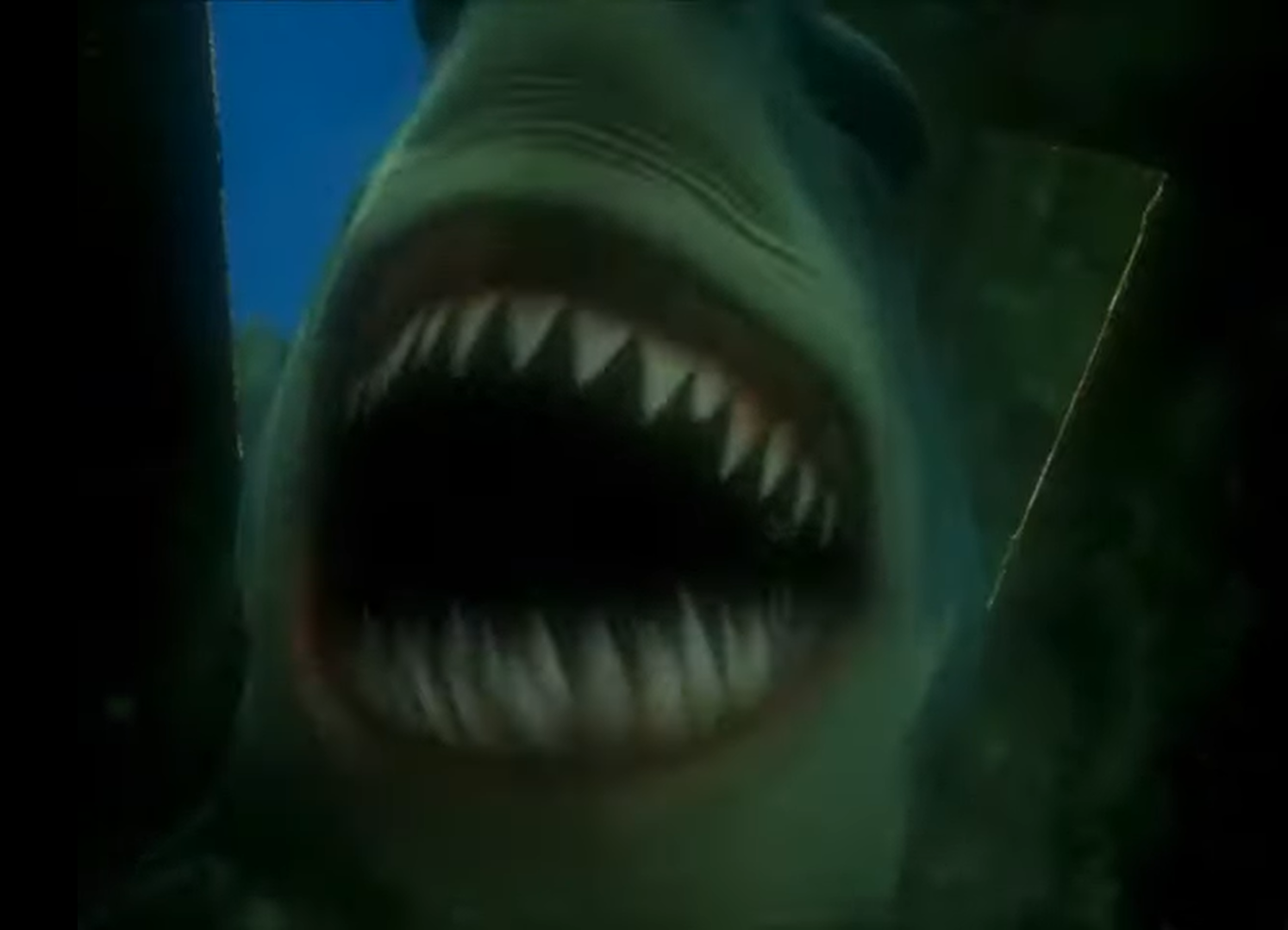High Quality im having fish tonight Blank Meme Template