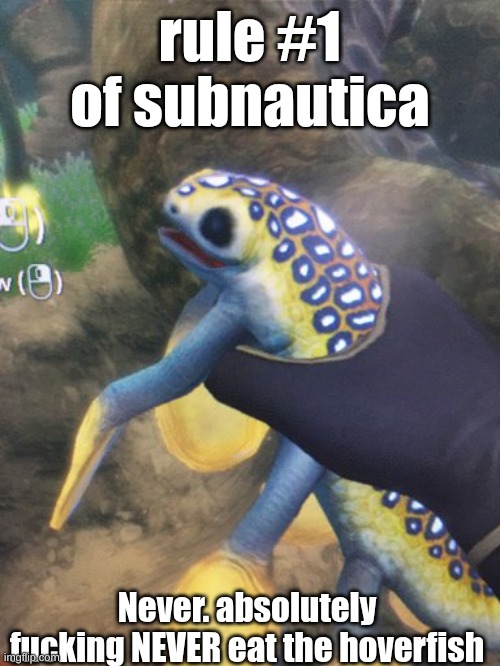 why is lil niba so fucking cute | rule #1 of subnautica; Never. absolutely fucking NEVER eat the hoverfish | made w/ Imgflip meme maker