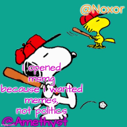 Amethyst and Noxor shared announcement template | I opened msmg because i wanted memes, not politics | image tagged in amethyst and noxor shared announcement template | made w/ Imgflip meme maker