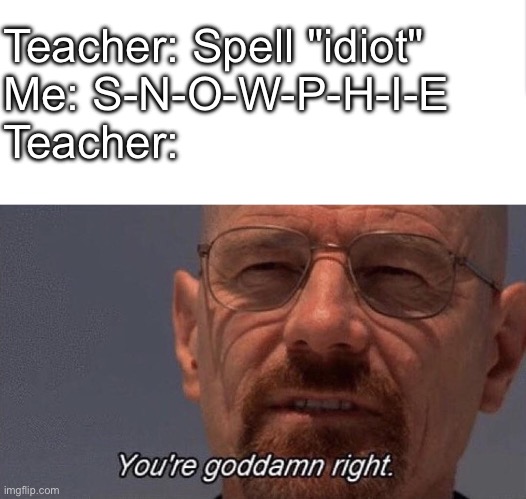 Teacher: Spell "idiot"
Me: S-N-O-W-P-H-I-E
Teacher: | image tagged in you're goddang right | made w/ Imgflip meme maker