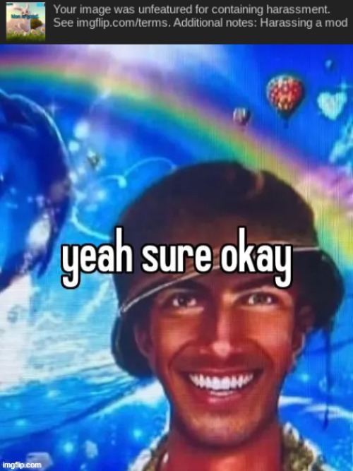 image tagged in yeah sure okay | made w/ Imgflip meme maker