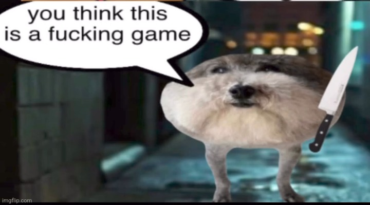 made w/ Imgflip meme maker