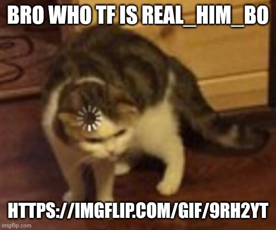 Who the hell is this guy | BRO WHO TF IS REAL_HIM_BO; HTTPS://IMGFLIP.COM/GIF/9RH2YT | image tagged in loading cat | made w/ Imgflip meme maker
