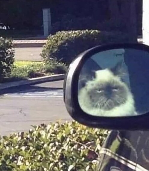 Annoyed Blank Meme Template