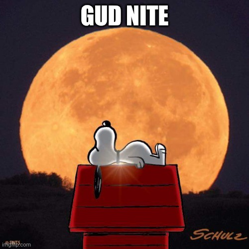 Night | GUD NITE | image tagged in goodnight | made w/ Imgflip meme maker