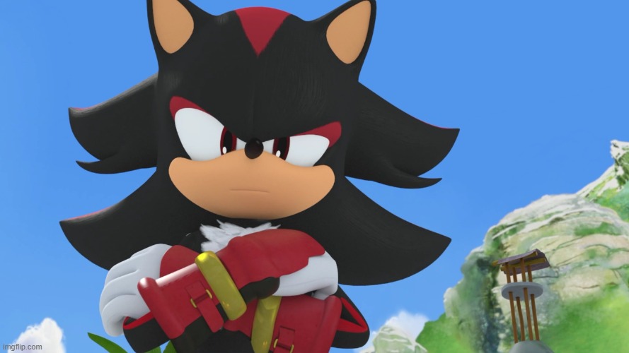 shadow the hedgehog | image tagged in shadow the hedgehog | made w/ Imgflip meme maker