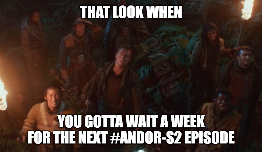 THAT LOOK WHEN; @da1g; YOU GOTTA WAIT A WEEK FOR THE NEXT #ANDOR-S2 EPISODE | image tagged in star wars | made w/ Imgflip meme maker