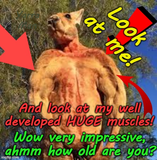 Narcissists, Trolls, insecure people who attack others on social media, gotta lovem. | Yarra Man; Look at me! And look at my well developed HUGE muscles! Wow very impressive, ahmm how old are you? | image tagged in facebook,x bluesky,short man syndrome,look at me,big boy | made w/ Imgflip meme maker