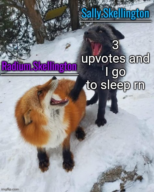 Radium and Sally temp | 3 upvotes and I go to sleep rn | image tagged in radium and sally temp | made w/ Imgflip meme maker