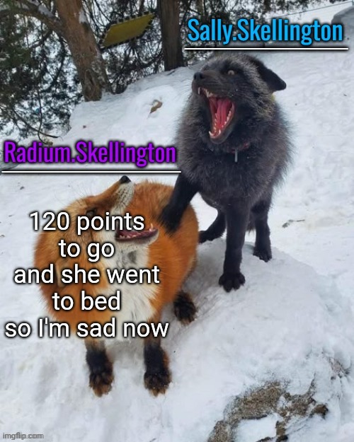 Radium and Sally temp | 120 points to go and she went to bed so I'm sad now | image tagged in radium and sally temp | made w/ Imgflip meme maker