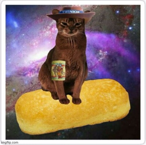 ALL HAIL THE GREAT AND POWERFUL ONE, ALL HAIL TWINKIE CAT | made w/ Imgflip meme maker