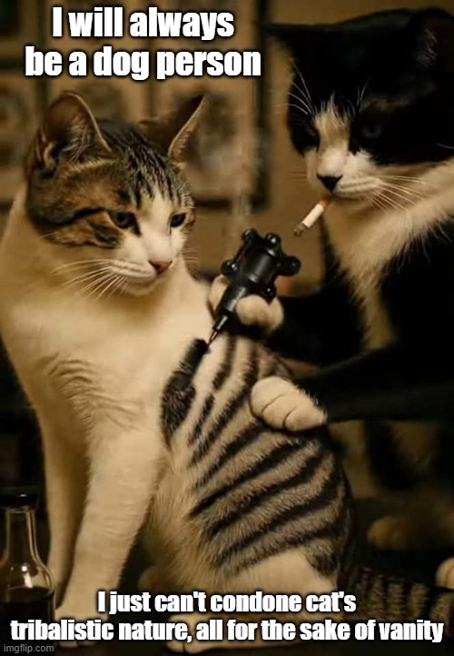 Tribalistic Cat | I will always be a dog person; I just can't condone cat's tribalistic nature, all for the sake of vanity | image tagged in tattoo,cat,unobtainable,beauty | made w/ Imgflip meme maker