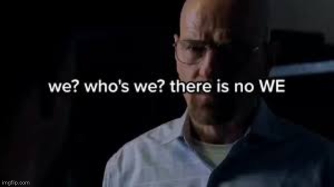 we? who's we? there is no WE. | image tagged in we who's we there is no we | made w/ Imgflip meme maker
