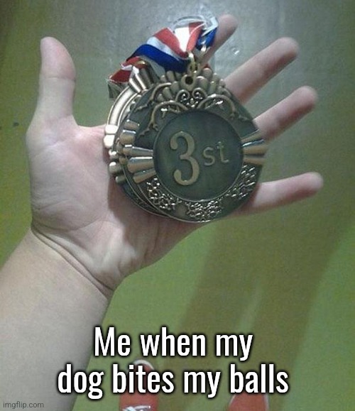 3st? | Me when my dog bites my balls | image tagged in 3st | made w/ Imgflip meme maker