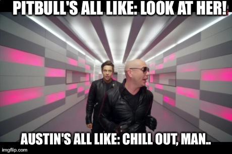 Pitbull and Austin meme | PITBULL'S ALL LIKE: LOOK AT HER! AUSTIN'S ALL LIKE: CHILL OUT, MAN.. | made w/ Imgflip meme maker