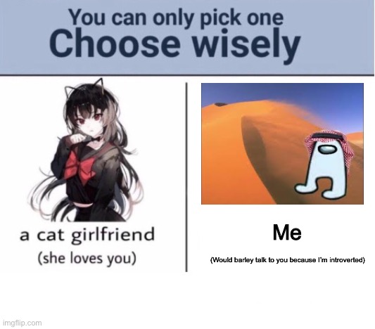 Choose wisely | Me; (Would barley talk to you because I’m introverted) | image tagged in choose wisely | made w/ Imgflip meme maker