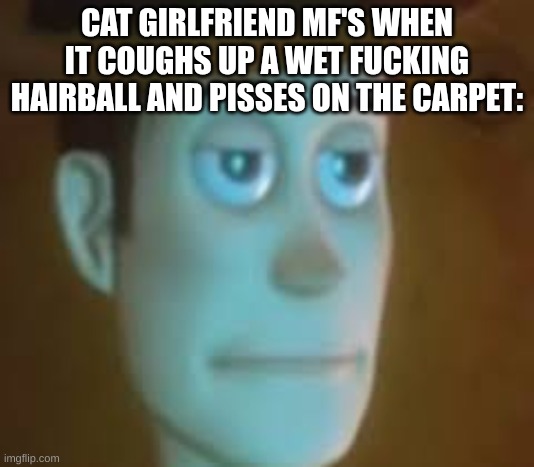 n | CAT GIRLFRIEND MF'S WHEN IT COUGHS UP A WET FUCKING HAIRBALL AND PISSES ON THE CARPET: | image tagged in disappointed woody | made w/ Imgflip meme maker