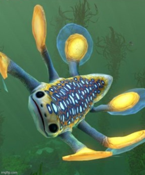 hoverfish | made w/ Imgflip meme maker