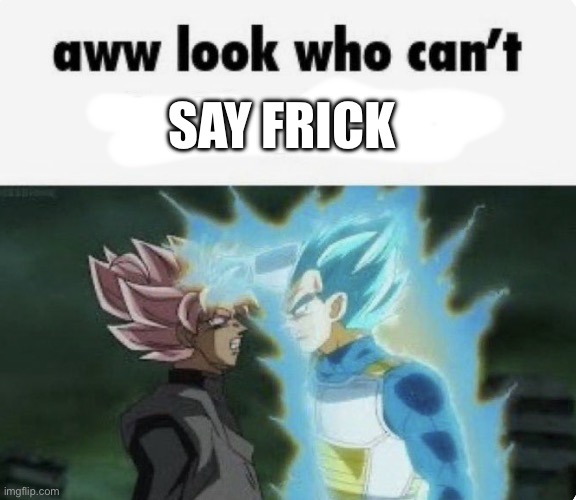 aww look who can't | SAY FRICK | image tagged in aww look who can't | made w/ Imgflip meme maker