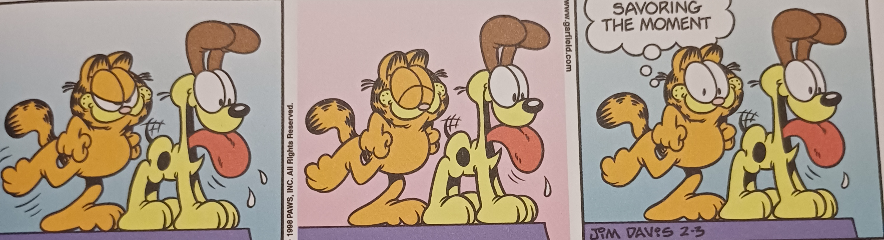 Garfield holding his kick Blank Meme Template