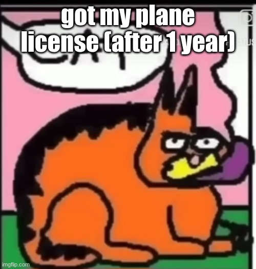 CAT | got my plane license (after 1 year) | image tagged in cat | made w/ Imgflip meme maker