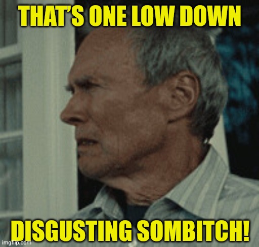 THAT’S ONE LOW DOWN DISGUSTING SOMBITCH! | made w/ Imgflip meme maker