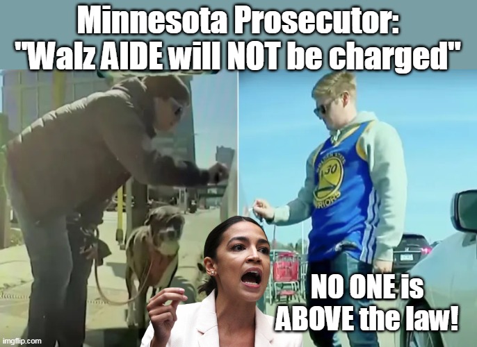$20K damage, and he's a VANDAL ??? | Minnesota Prosecutor:
"Walz AIDE will NOT be charged"; NO ONE is ABOVE the law! | image tagged in walz aide no prosecution above law meme | made w/ Imgflip meme maker