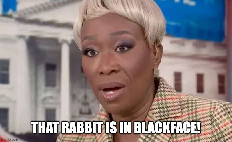 Joy reid | THAT RABBIT IS IN BLACKFACE! | image tagged in joy reid | made w/ Imgflip meme maker