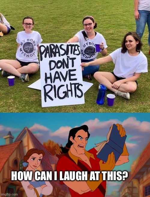 Babies are a life | HOW CAN I LAUGH AT THIS? | image tagged in parasites have no rights,how can i laugh at this,liberal logic | made w/ Imgflip meme maker